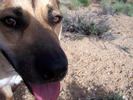 photo thumbnail #9