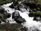 photo thumbnail #12
