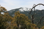 photo thumbnail #4