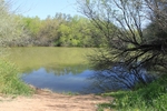 photo thumbnail #2