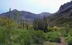 photo thumbnail #5