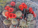 photo thumbnail #8