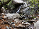 photo thumbnail #14