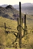 photo thumbnail #10