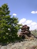 photo thumbnail #7