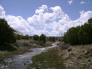 photo thumbnail #9