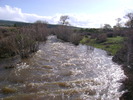 photo thumbnail #15