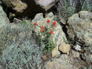 photo thumbnail #10