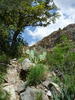 photo thumbnail #13