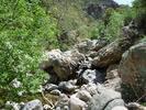 photo thumbnail #14