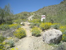 photo thumbnail #12