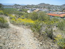photo thumbnail #13