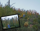 photo thumbnail #12