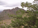 photo thumbnail #13