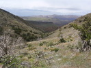 photo thumbnail #8