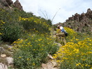 photo thumbnail #2