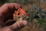 photo thumbnail #11