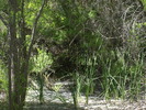 photo thumbnail #8