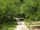photo thumbnail #12