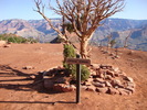 photo thumbnail #4