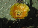 photo thumbnail #10