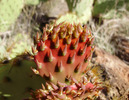 photo thumbnail #3
