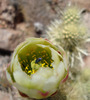 photo thumbnail #3