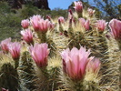 photo thumbnail #5