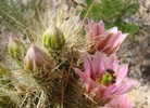 photo thumbnail #10