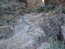 photo thumbnail #11