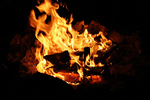 photo thumbnail #7