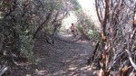 photo thumbnail #15