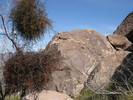 photo thumbnail #9