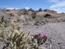 photo thumbnail #3
