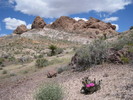 photo thumbnail #2