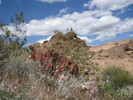 photo thumbnail #8