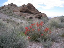photo thumbnail #10