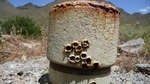 photo thumbnail #3