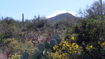photo thumbnail #15