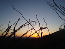 photo thumbnail #10