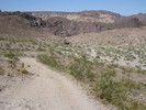 photo thumbnail #2