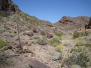 photo thumbnail #6