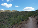 photo thumbnail #2