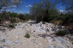 photo thumbnail #4