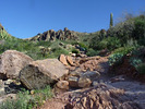 photo thumbnail #3