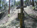photo thumbnail #9