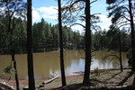 photo thumbnail #6