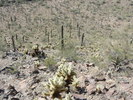 photo thumbnail #12