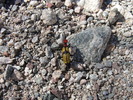 photo thumbnail #13