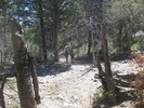 photo thumbnail #11